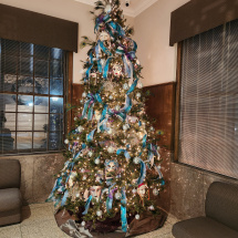 Decorated Christmas Tree